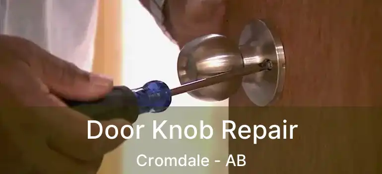  Door Knob Repair Cromdale - AB