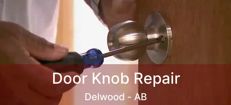  Door Knob Repair Delwood - AB