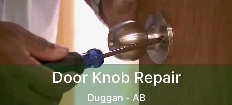  Door Knob Repair Duggan - AB