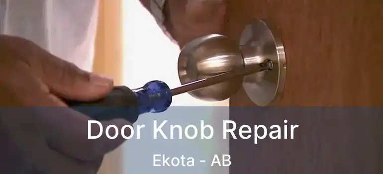  Door Knob Repair Ekota - AB