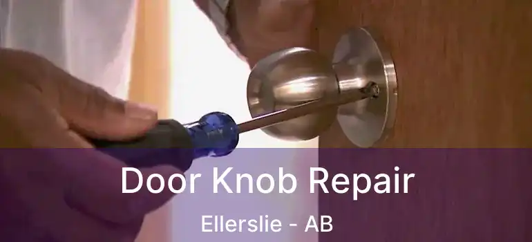  Door Knob Repair Ellerslie - AB