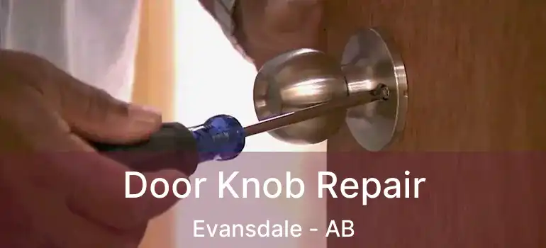  Door Knob Repair Evansdale - AB