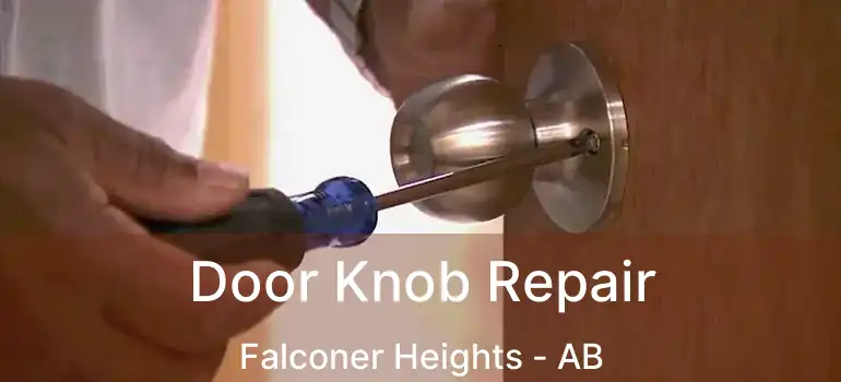  Door Knob Repair Falconer Heights - AB