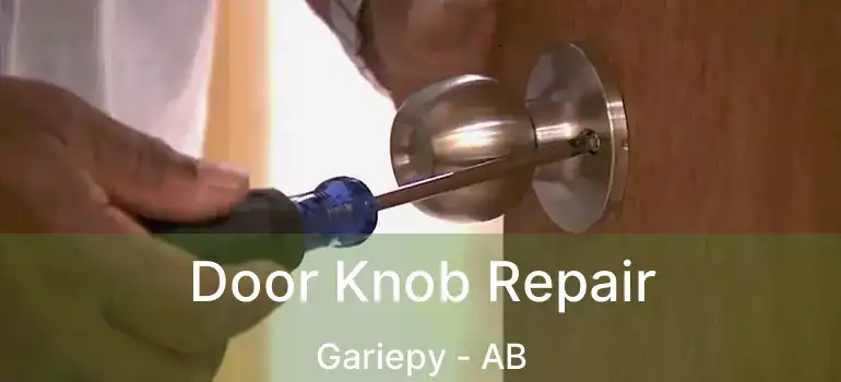  Door Knob Repair Gariepy - AB