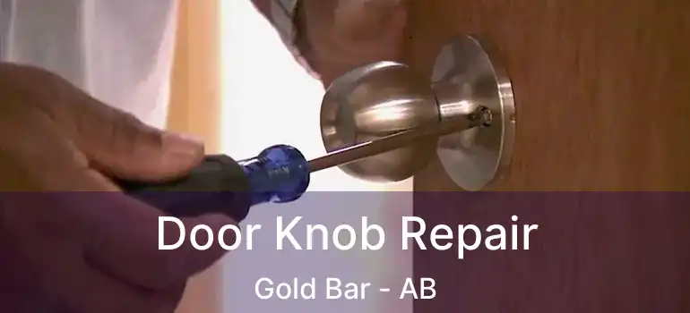  Door Knob Repair Gold Bar - AB