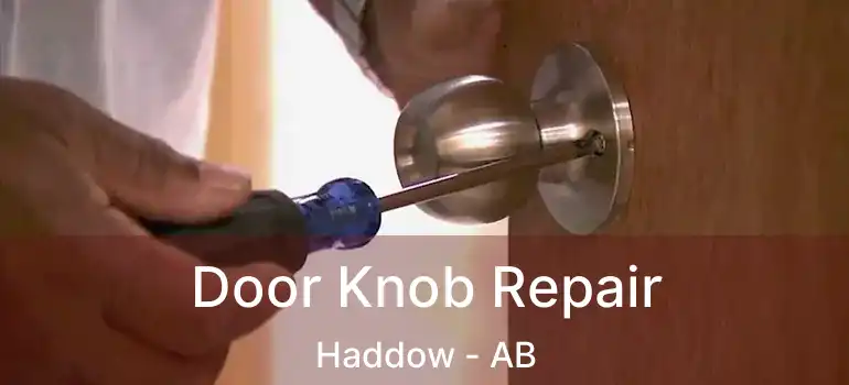  Door Knob Repair Haddow - AB