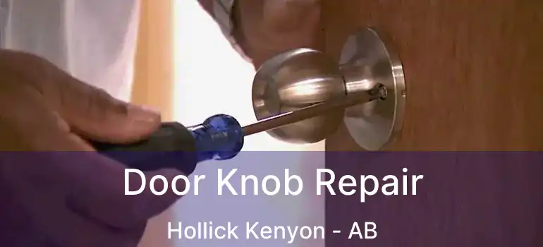  Door Knob Repair Hollick Kenyon - AB