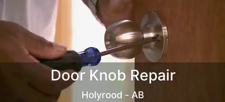  Door Knob Repair Holyrood - AB