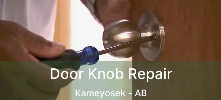  Door Knob Repair Kameyosek - AB