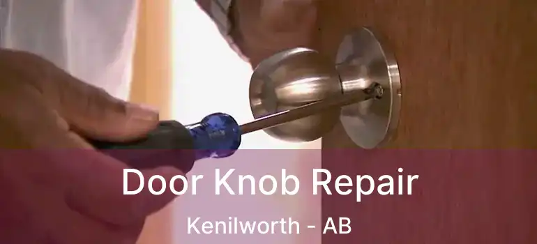  Door Knob Repair Kenilworth - AB