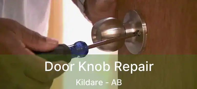  Door Knob Repair Kildare - AB
