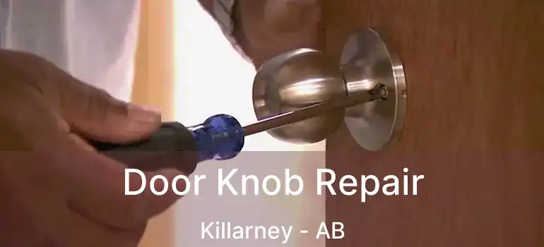  Door Knob Repair Killarney - AB