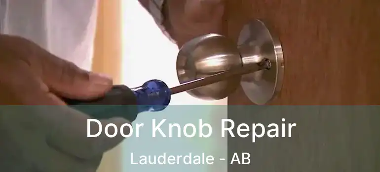  Door Knob Repair Lauderdale - AB