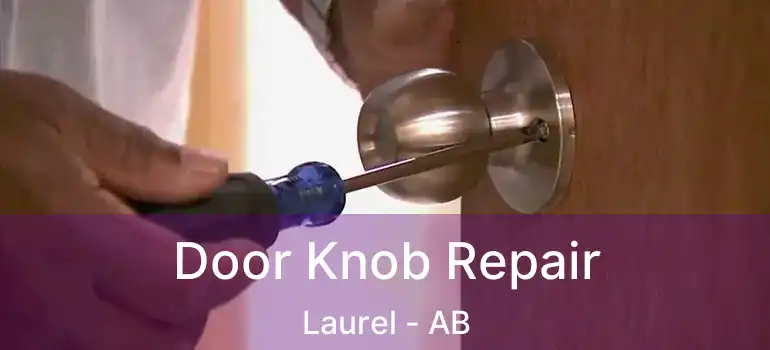  Door Knob Repair Laurel - AB
