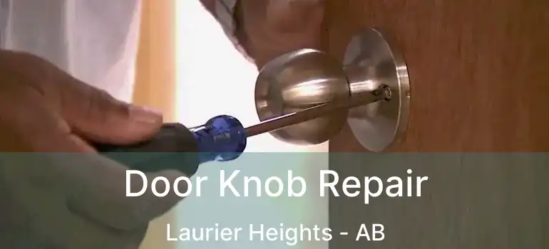 Door Knob Repair Laurier Heights - AB
