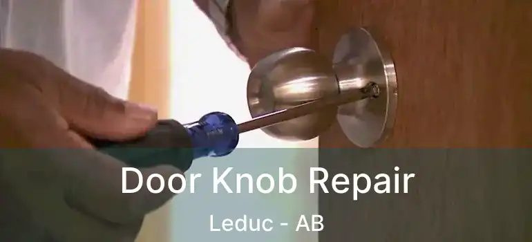 Door Knob Repair Leduc - AB