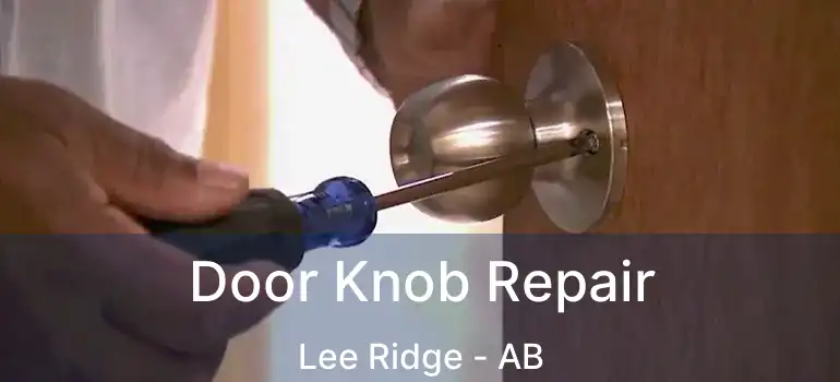 Door Knob Repair Lee Ridge - AB