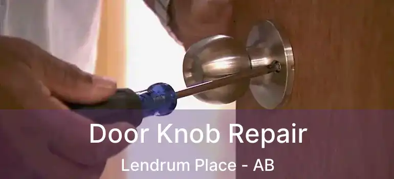  Door Knob Repair Lendrum Place - AB