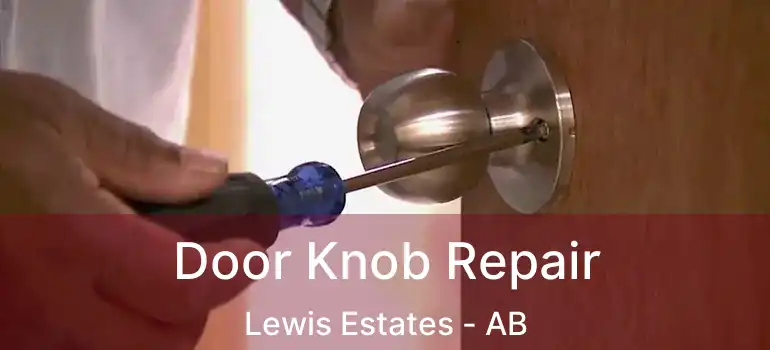  Door Knob Repair Lewis Estates - AB