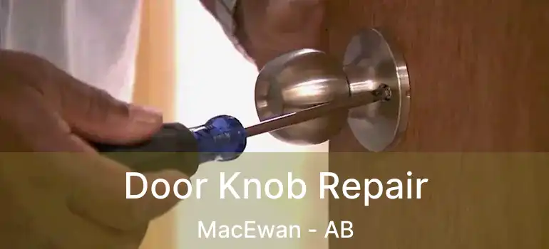  Door Knob Repair MacEwan - AB