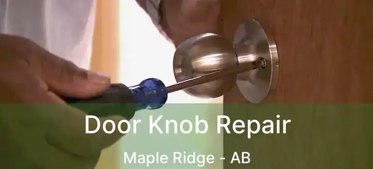  Door Knob Repair Maple Ridge - AB