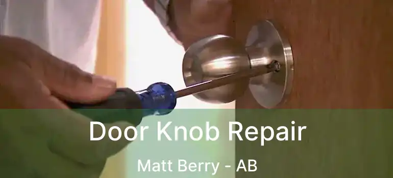  Door Knob Repair Matt Berry - AB