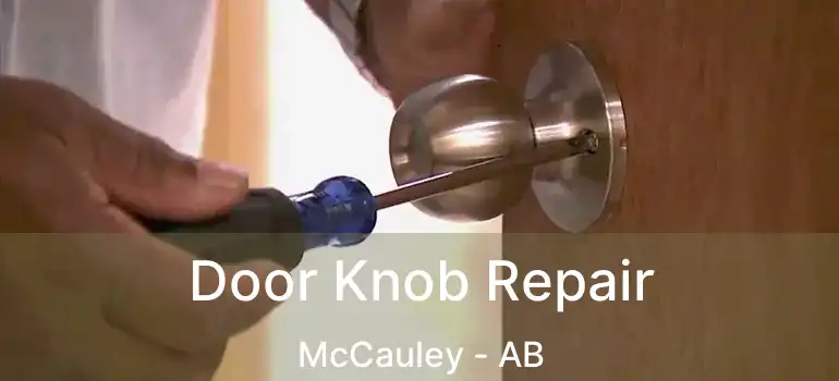  Door Knob Repair McCauley - AB