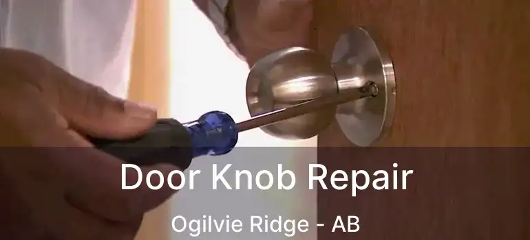  Door Knob Repair Ogilvie Ridge - AB
