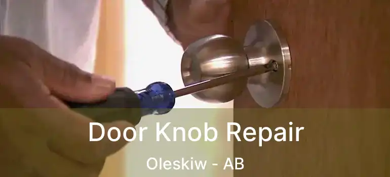  Door Knob Repair Oleskiw - AB