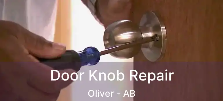  Door Knob Repair Oliver - AB