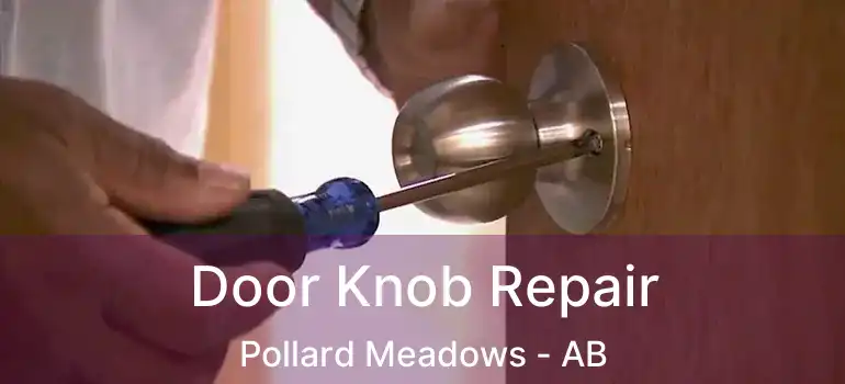  Door Knob Repair Pollard Meadows - AB