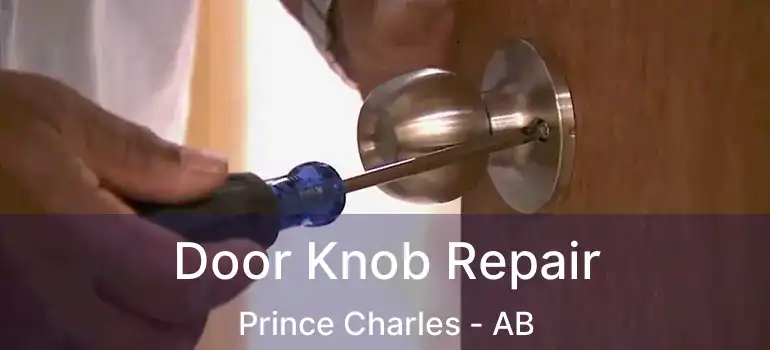  Door Knob Repair Prince Charles - AB
