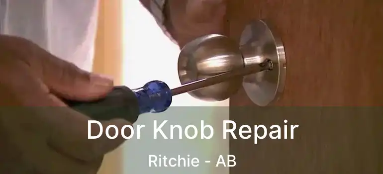  Door Knob Repair Ritchie - AB