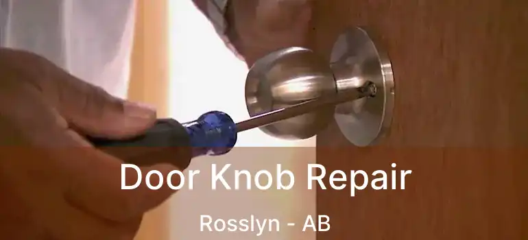  Door Knob Repair Rosslyn - AB