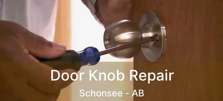  Door Knob Repair Schonsee - AB