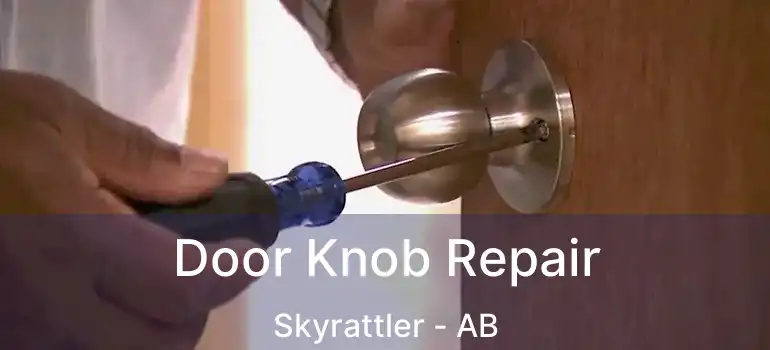  Door Knob Repair Skyrattler - AB