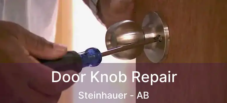  Door Knob Repair Steinhauer - AB