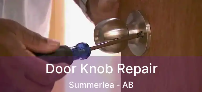  Door Knob Repair Summerlea - AB