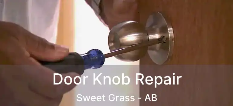  Door Knob Repair Sweet Grass - AB