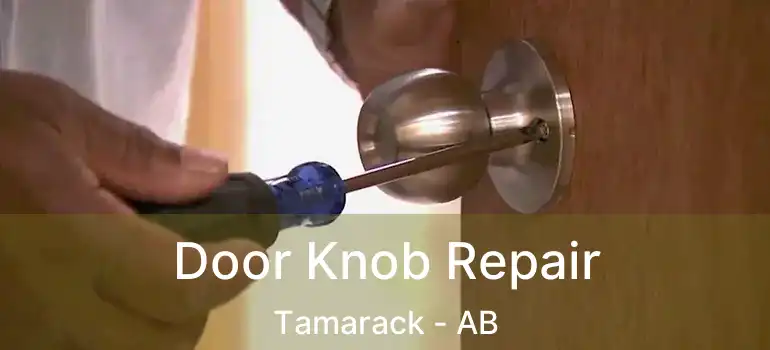  Door Knob Repair Tamarack - AB