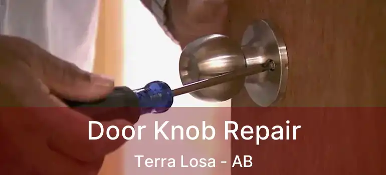  Door Knob Repair Terra Losa - AB
