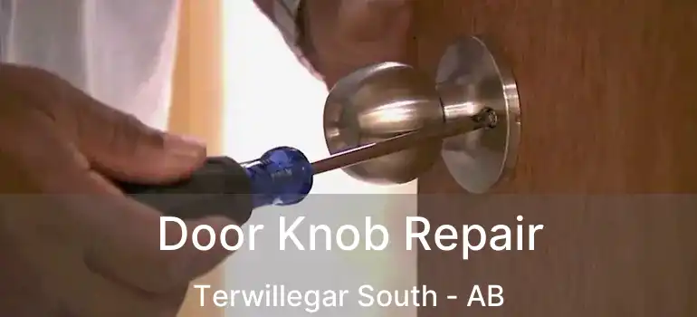  Door Knob Repair Terwillegar South - AB