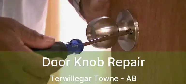  Door Knob Repair Terwillegar Towne - AB