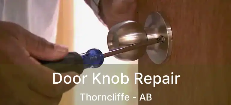  Door Knob Repair Thorncliffe - AB