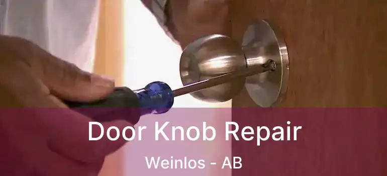  Door Knob Repair Weinlos - AB