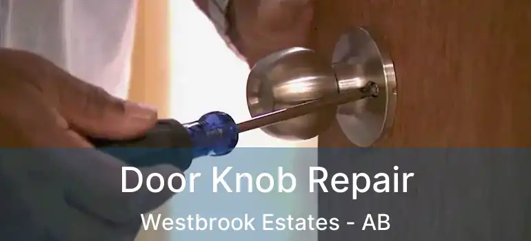  Door Knob Repair Westbrook Estates - AB