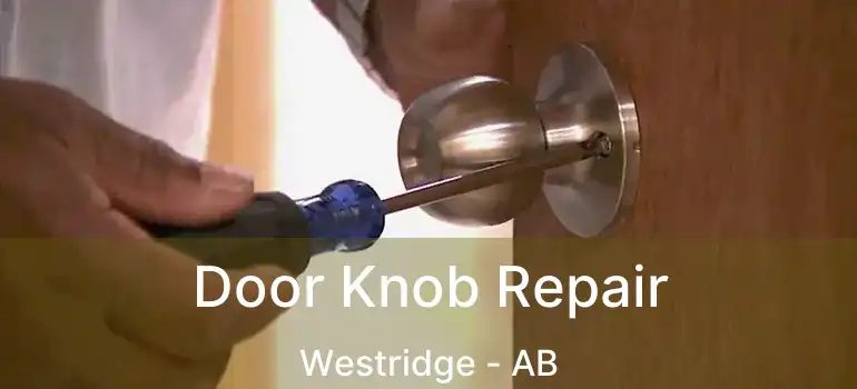  Door Knob Repair Westridge - AB