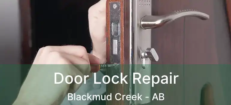  Door Lock Repair Blackmud Creek - AB
