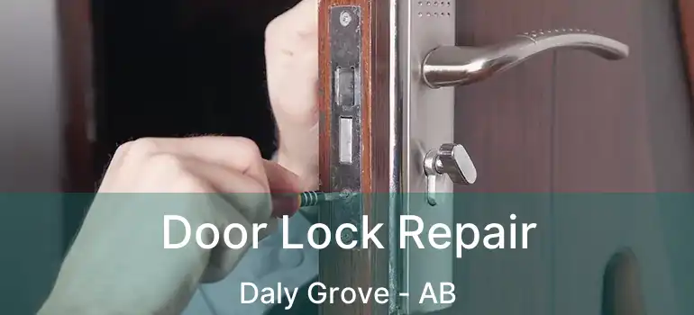  Door Lock Repair Daly Grove - AB