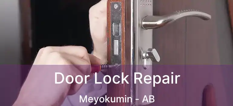  Door Lock Repair Meyokumin - AB